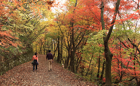 城山公園