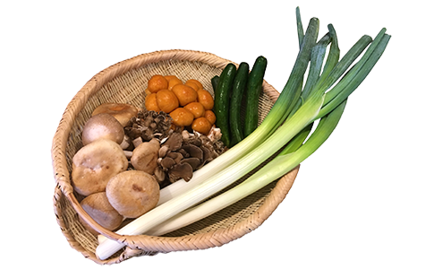 飛騨産の野菜